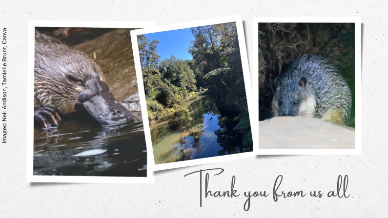 A heartfelt thanks: Our EOFY 2024 appeal raises over $89,000 to save Queensland’s freshwater wildlife! 