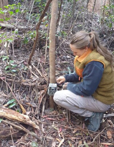 Maaike collecting the camera trap photos