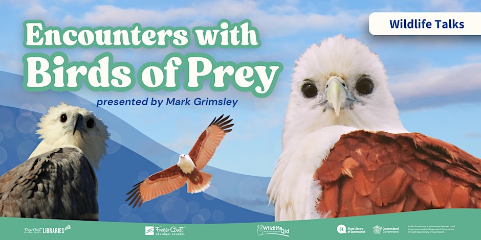 Fraser Coast Wildlife Talks - Birds of Prey