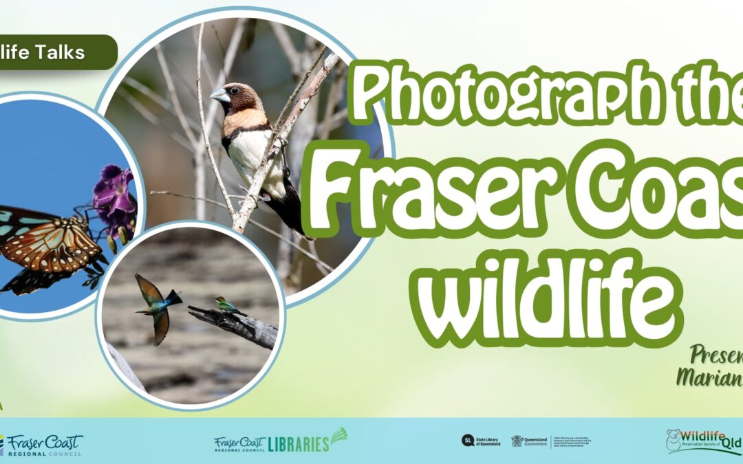 Photograph the Fraser Coast Wildlife presented by Marian Bennett