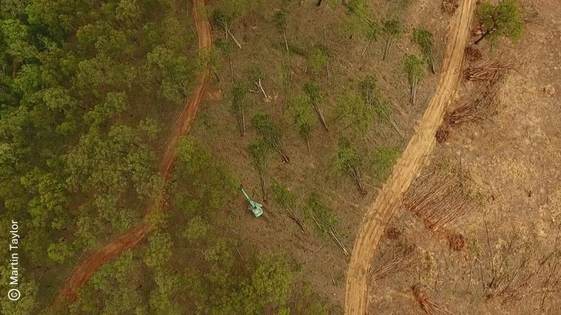 Project Officer identifies that deforestation continues in hotspots despite our laws