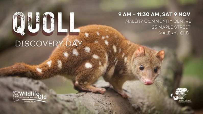 Quoll Discovery Day