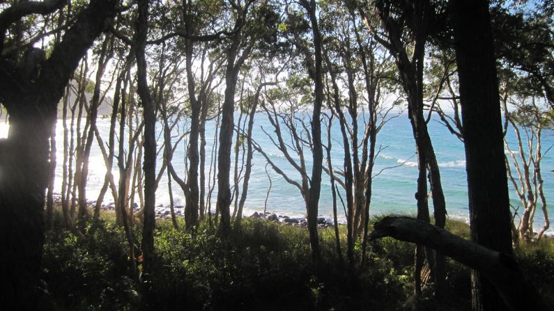 Noosa National Park