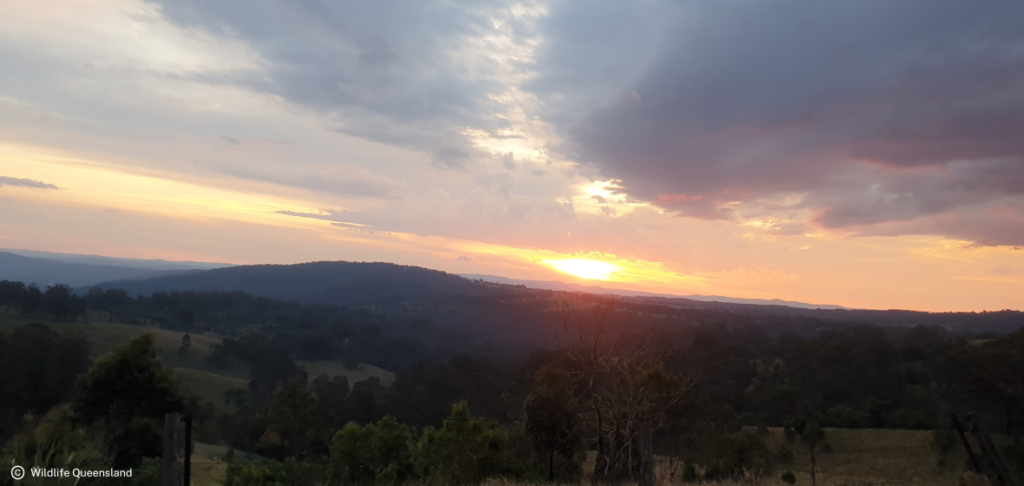 Sunset over Qld